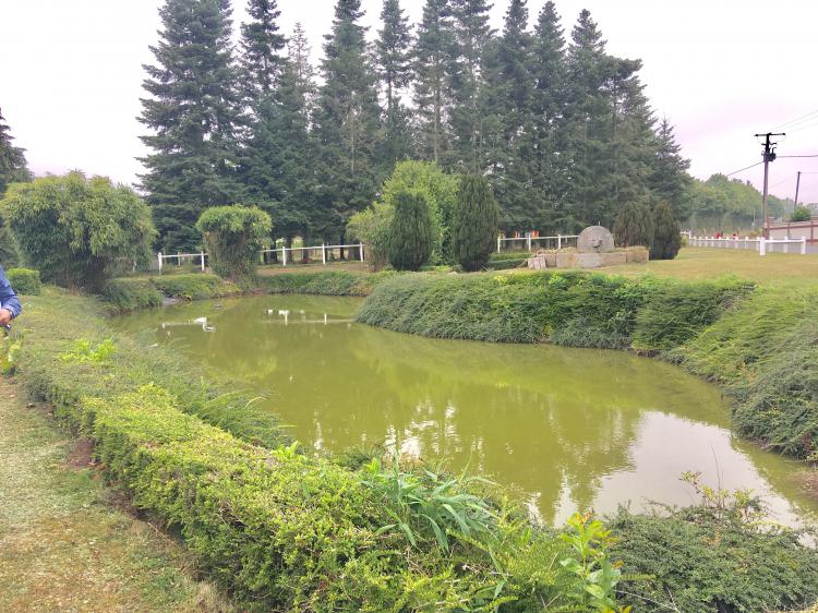 terrain en vente BOURGTHEROULDE INFREVILLE